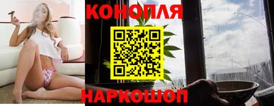 крисы Дубна