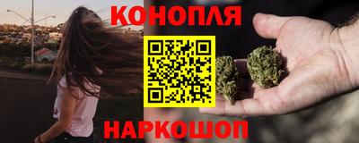 крисы Дубна