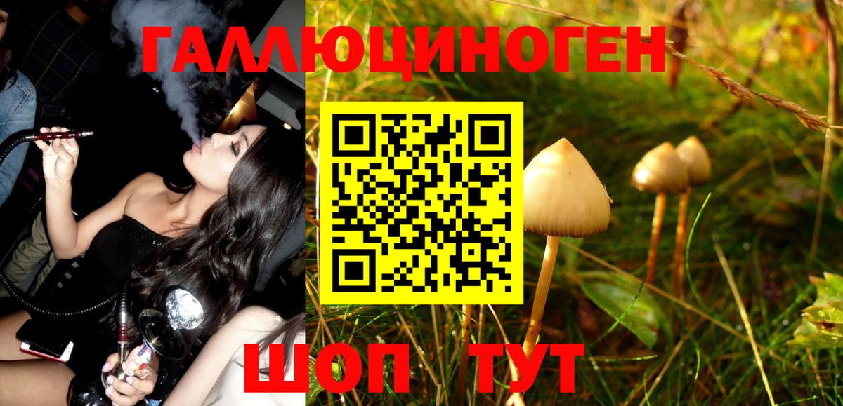 Галлюциногенные грибы MAGIC MUSHROOMS  Вход с VPN  Мирный 
