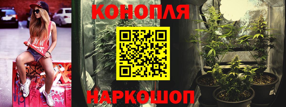Канабис White Widow  Бошки Шишки LSD WEED  Вход с VPN  Мирный  МАРИХУАНА гибрид 
